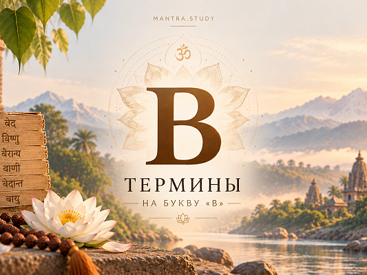 Термины на букву "В"